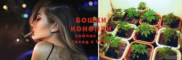 PSILOCYBIN Баксан