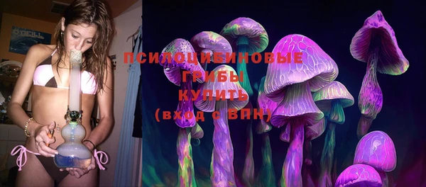 PSILOCYBIN Баксан